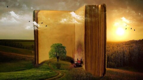 Grafika przedstawia surrealistyczną wizję książki stojącej na polo